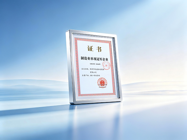 制造业单项冠军企业